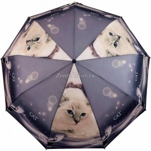 Стильный зонт с котом Amico, полуавтомат, арт. 122-8